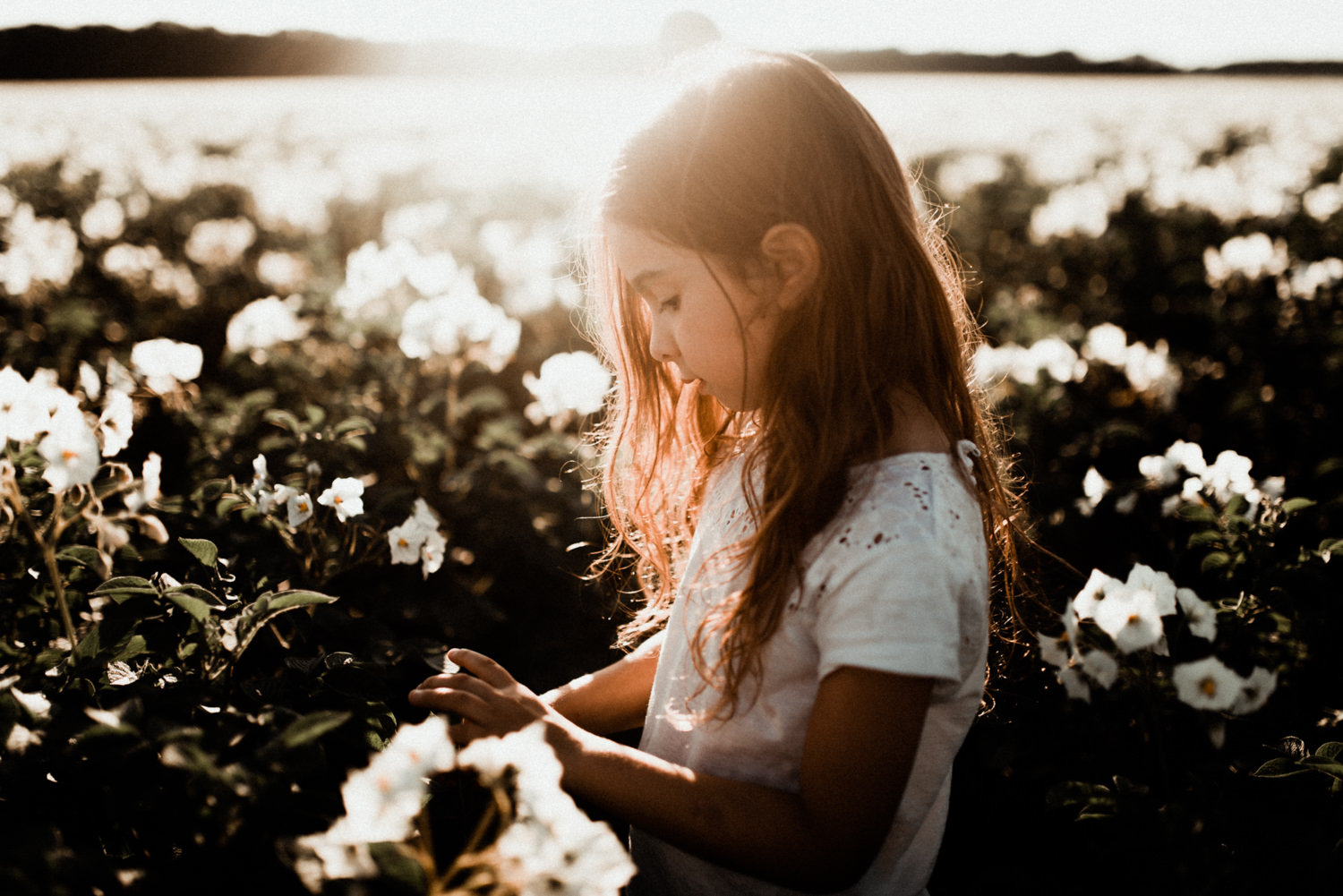 Une petite fille au milieu des fleurs des champs