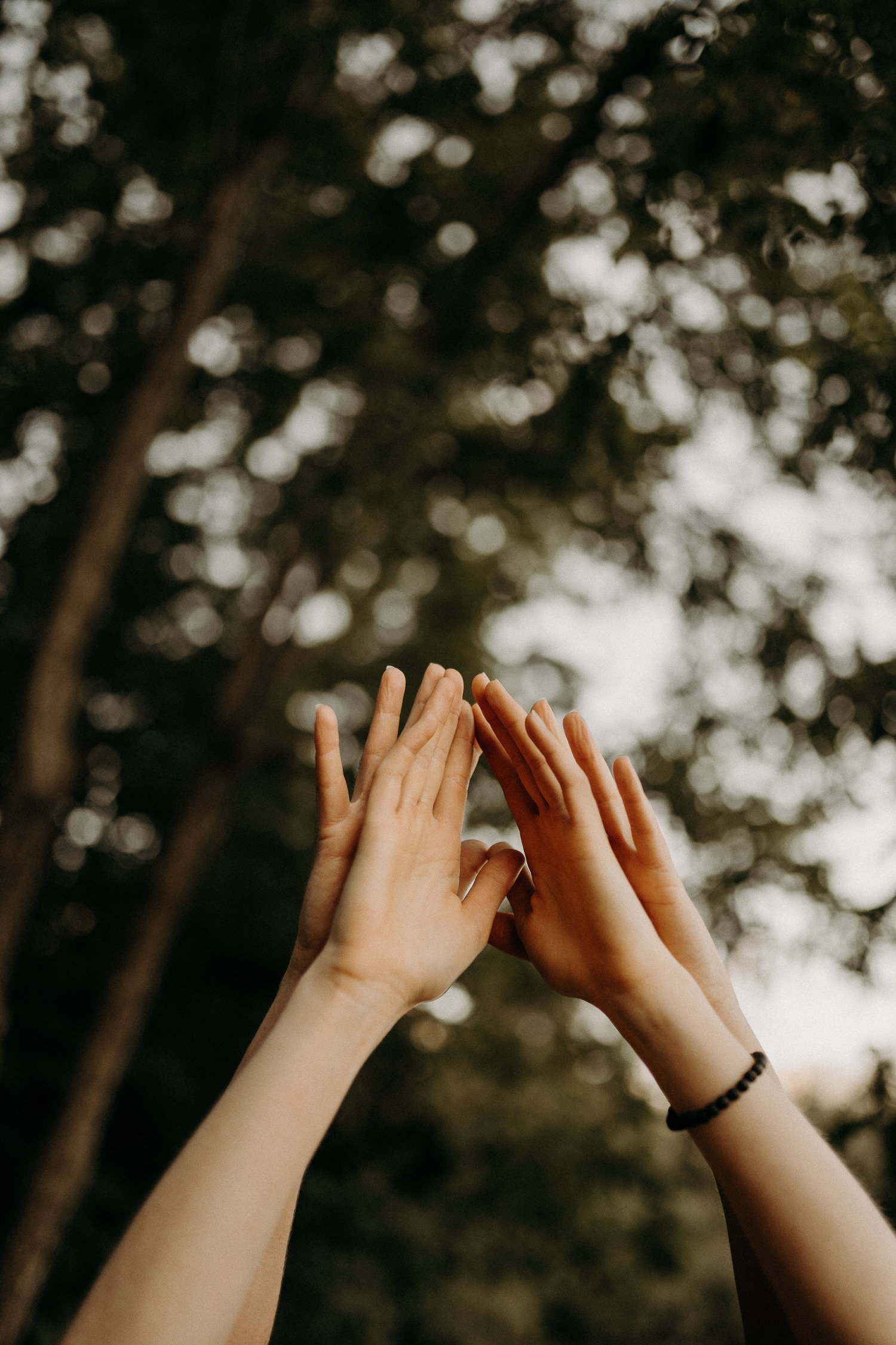 Rituel photogrpahique ronde sauvage